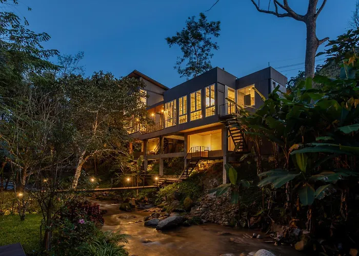 The Stream House