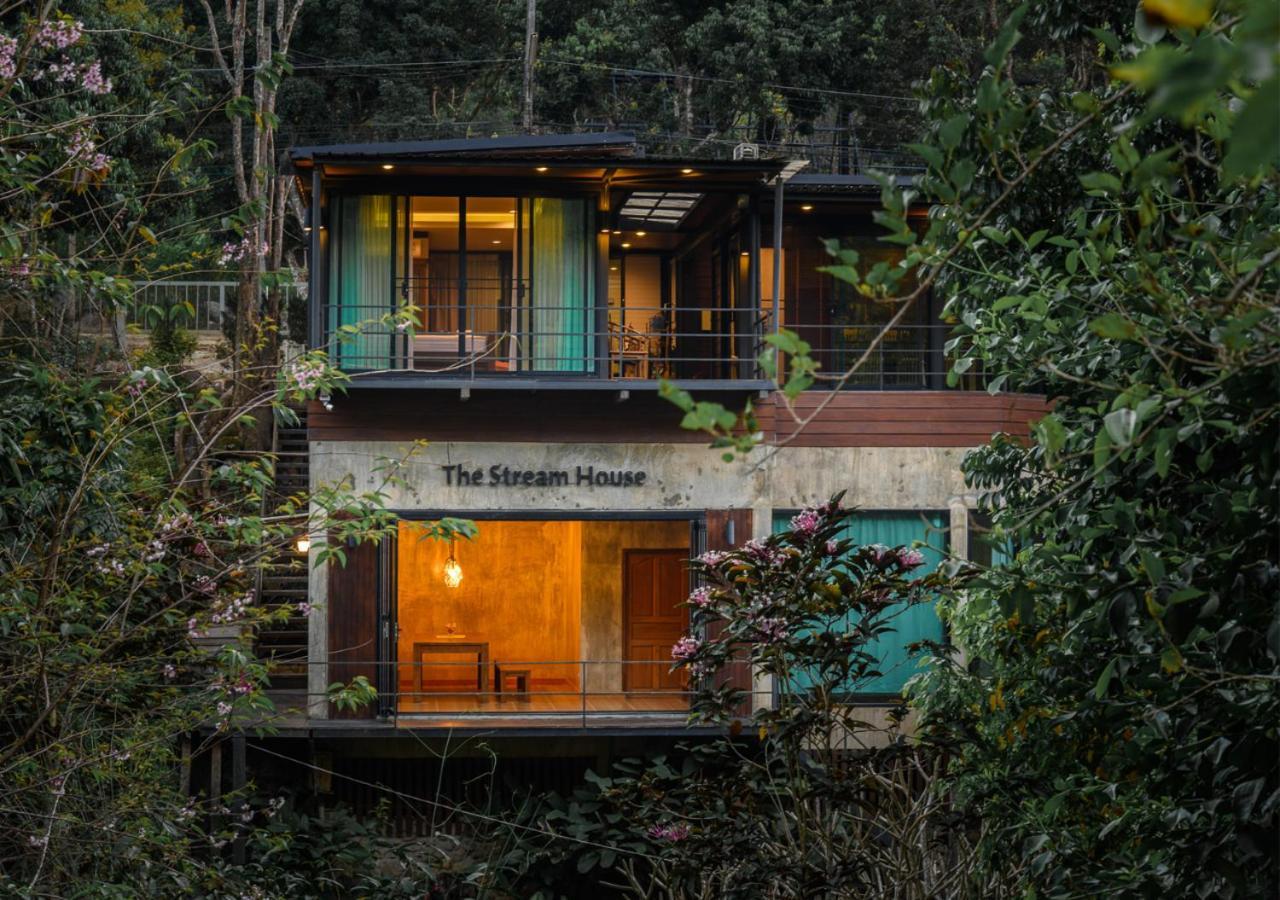 The Stream House *