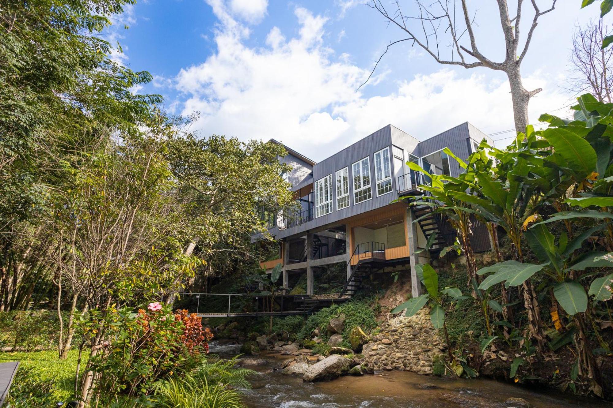 The Stream House
