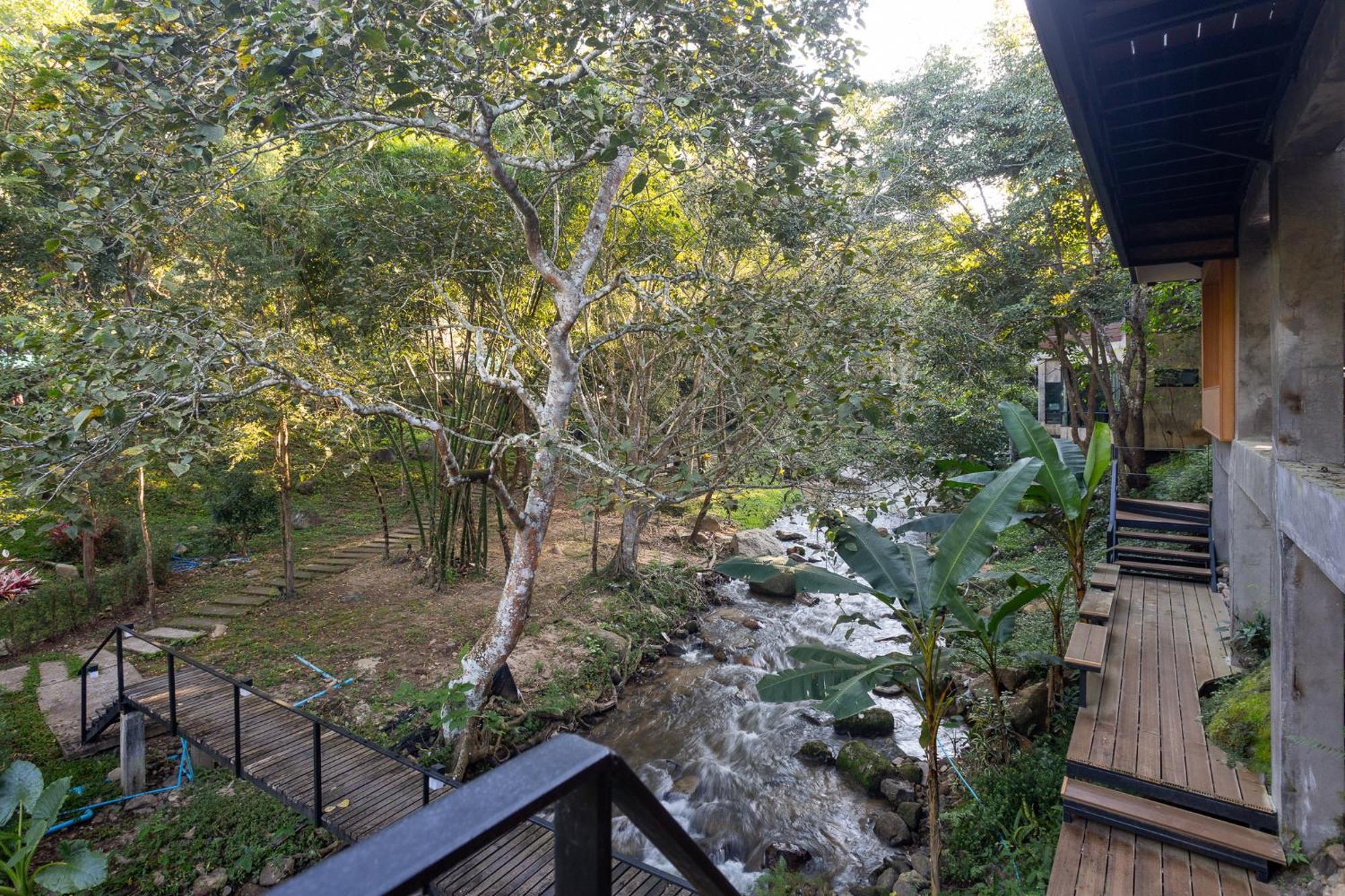 The Stream House